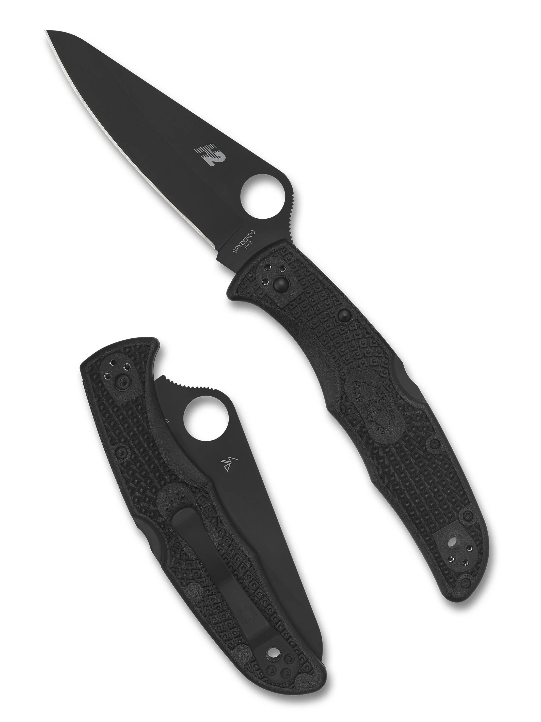 Pacific Salt® 2 H2 - Image 16