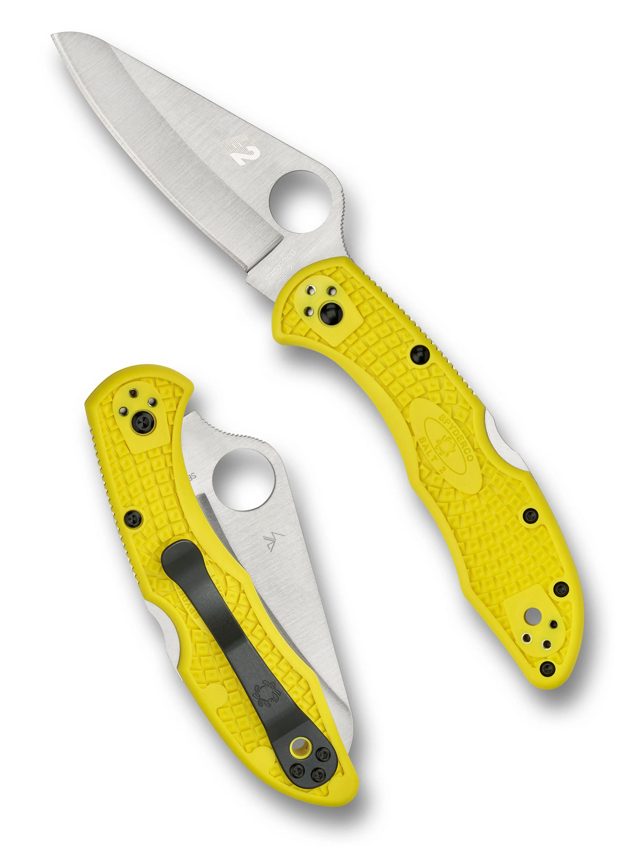 Salt® 2 - Image 7