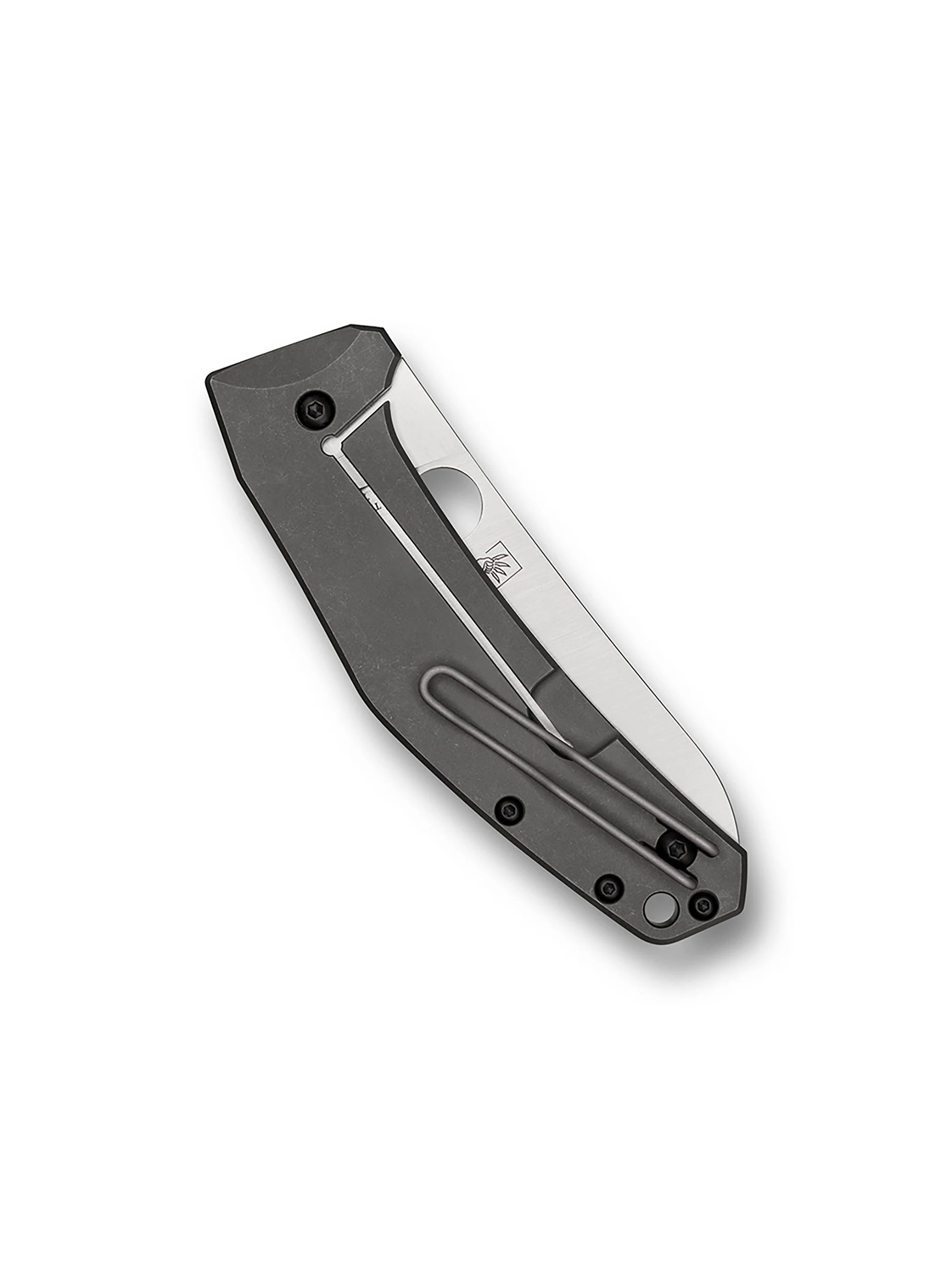 SpydieChef™ - Image 3