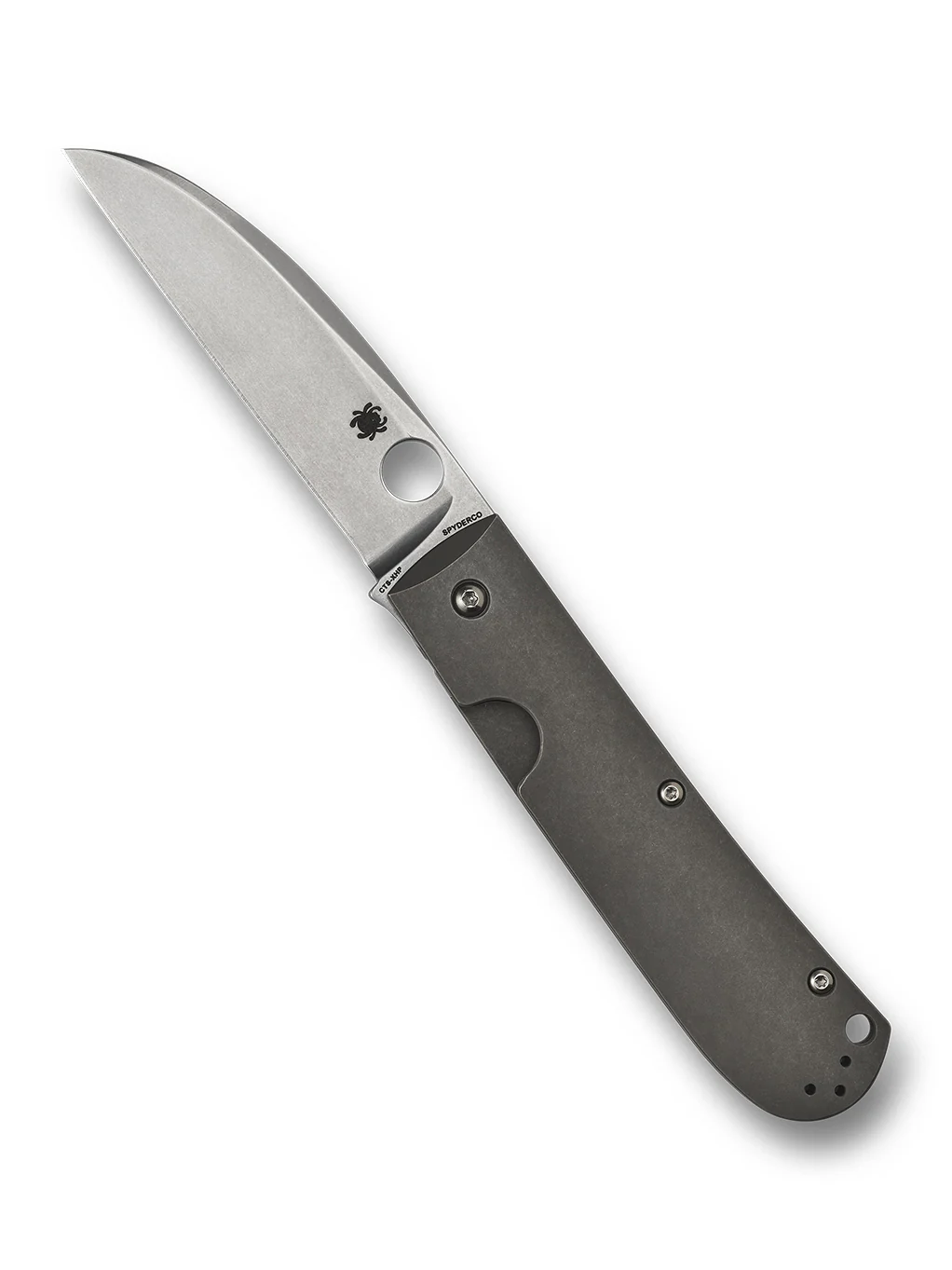 Swayback™ - Image 2