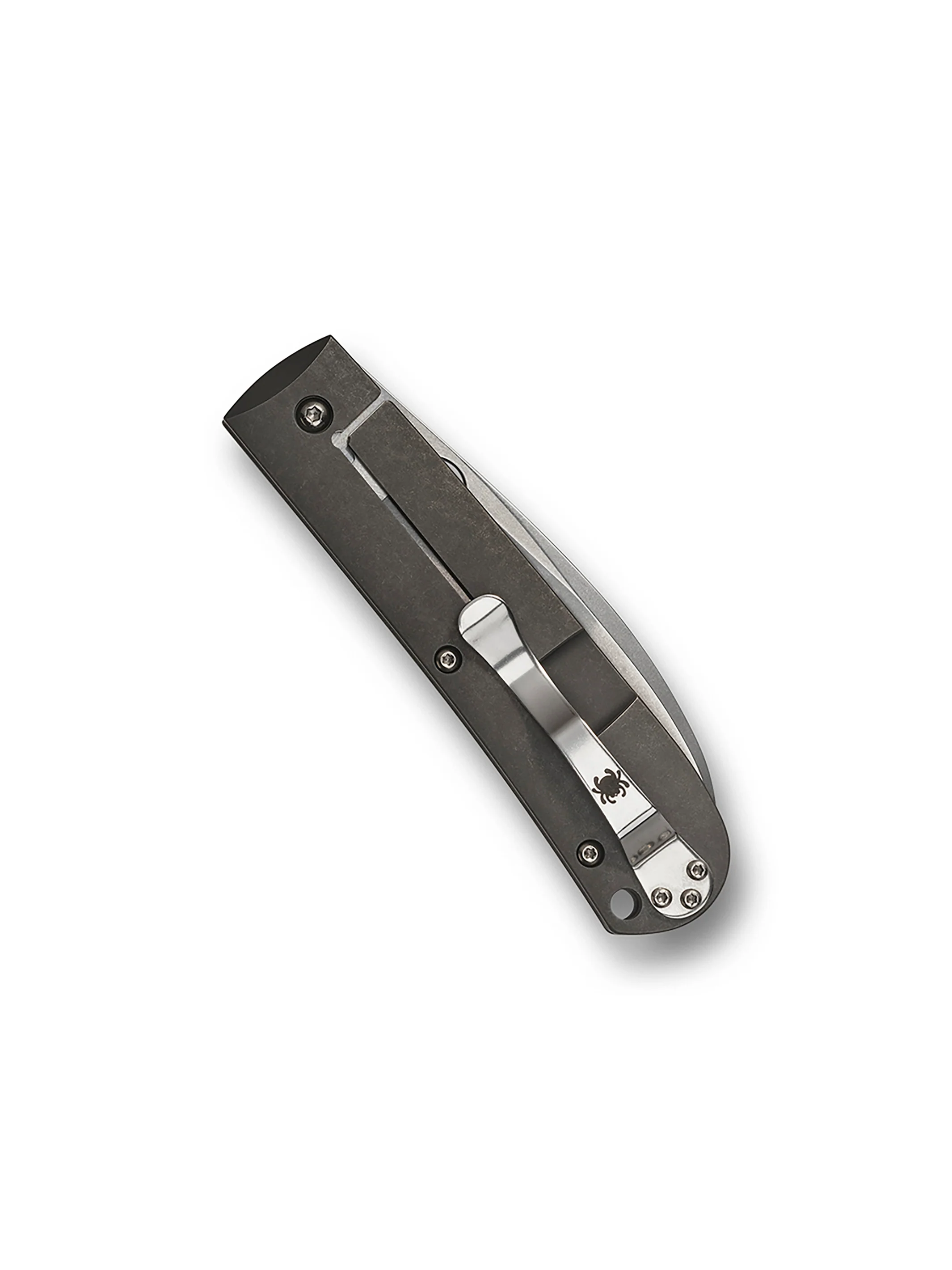 Swayback™ - Image 3